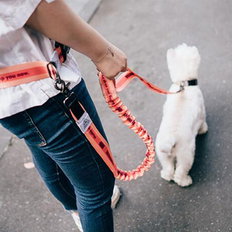 Running Gear Belt - Adjustable Hand Free Dog Leash for