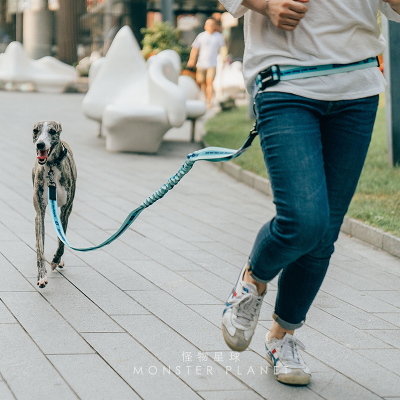 Adjustable Hand Free Dog Leash - Running Gear Belt recension och pris