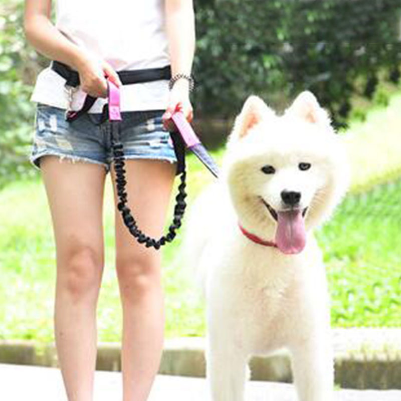 Adjustable Hand Free Dog Leash - Running Gear Belt recension och pris