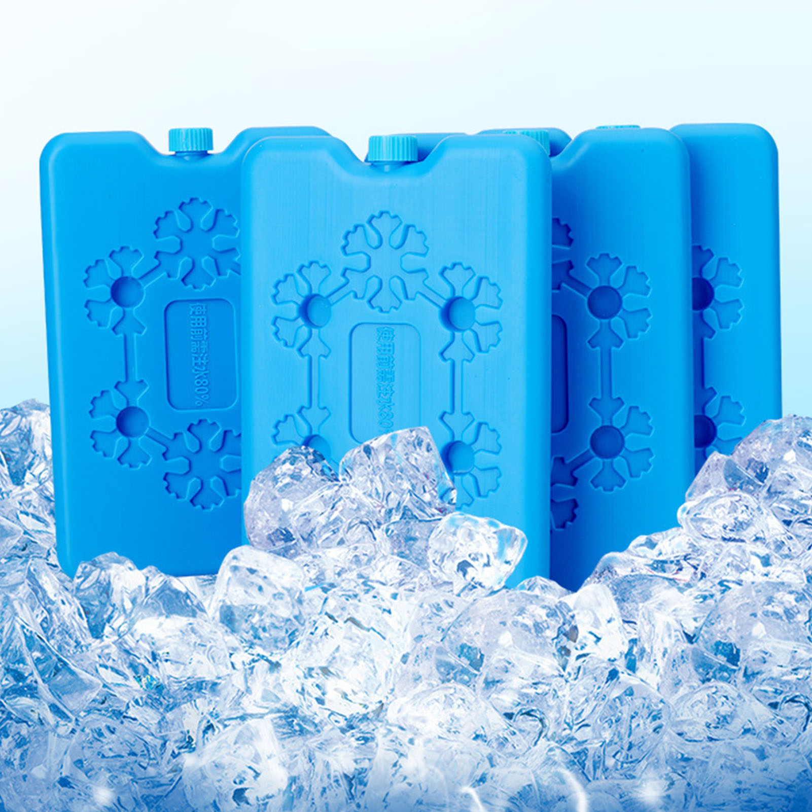 Gel Freezer Ice Blocks for Tra - Energy Gel Pack recension och pris